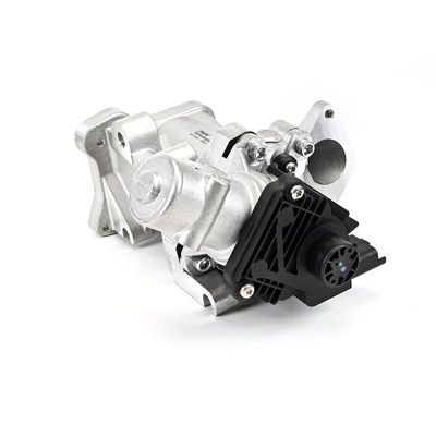 SUPAPA EGR DELPHI EG1043712B1 5