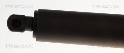 AMORTIZOR LUNETA TRISCAN 871043233 1
