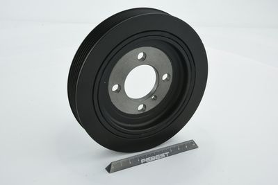 FULIE CUREA ARBORE COTIT FEBEST KDSCER 48