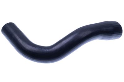 FURTUN EAR SUPRAALIMENTARE