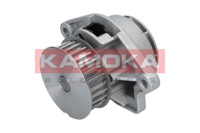 Water Pump, engine cooling T0024