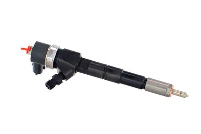 INJECTOR REMANTE 002003001674R 43