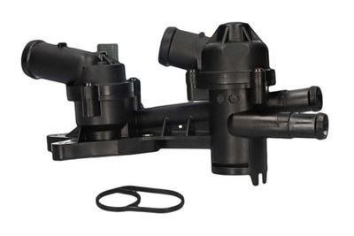 TERMOSTAT LICHID RACIRE