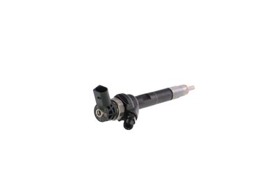 INJECTOR REMANTE 002003001754R 31
