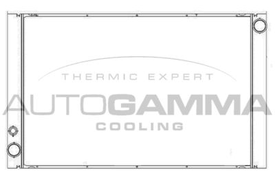 AUTOGAMMA 105765 Радиатор охлаждения двигателя для AUDI A8 D3 (4E2, 4E8)