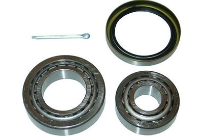 Kavo Parts Rato guolio komplektas