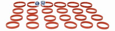 SET GARNITURI GALERIE ADMISIE VEMO V10770076 1