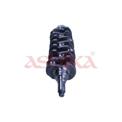 ARBORE COTIT ASHIKA 18NS002 2
