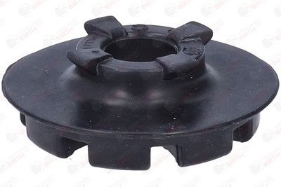 SAIBA ARC BIRTH 56763 10