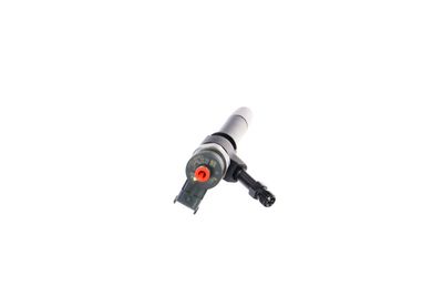 INJECTOR REMANTE 002003001319R 29