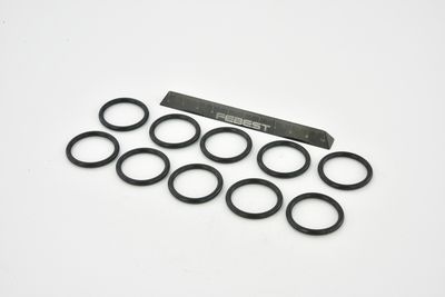 ETANSARE RACIRE ULEI FEBEST RINGOL058PCS10 30