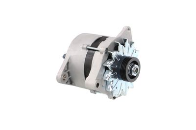 GENERATOR / ALTERNATOR REMANTE 011003000065R 53
