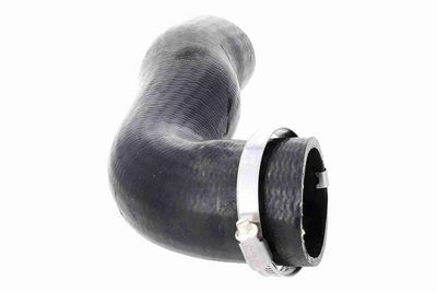 LADELUFTSCHLAUCH VAICO V10000135 5