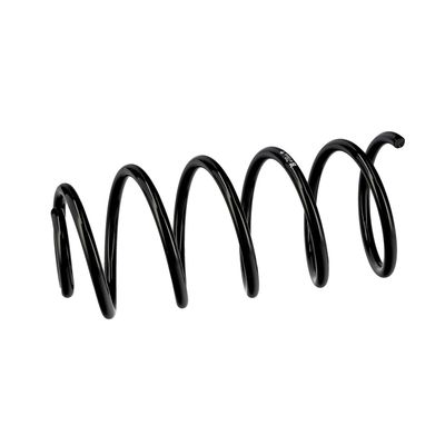 ARC SPIRAL EIBACH R10846 18