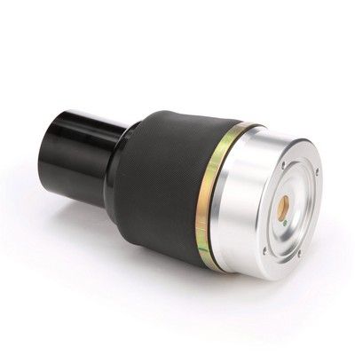 LUFTFEDER FAHRWERK Arnott A2571 45