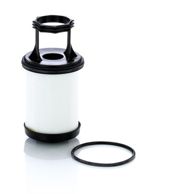 Filtras, karterio alsuoklis