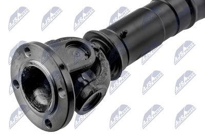 AX CARDANIC ANTRENAREA ARBORELUI NTY NWNLR032 1