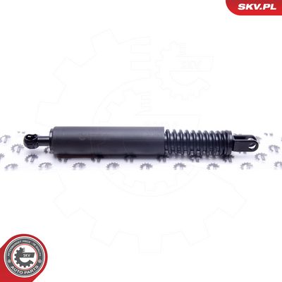 Dujinė spyruoklė, bagažinė