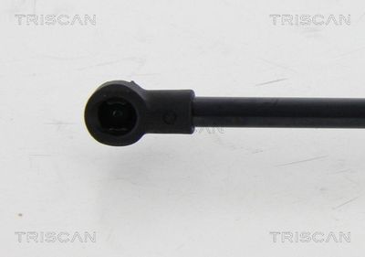 Amortizor portbagaj TRISCAN 8710 24255