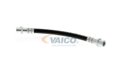 FURTUN FRANA VAICO V104136 14