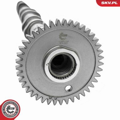 AX CU CAME ESEN SKV 80SKV056 3