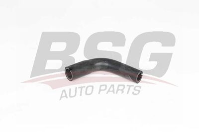Шланг, вентиляция картера BSG BSG 65-700-443 для OPEL INSIGNIA