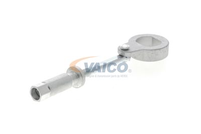 INTINZATOR CUREA TRANSMISIE VAICO V302079 52