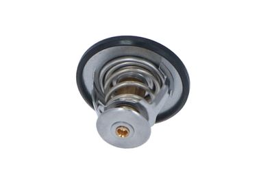 TERMOSTAT LICHID RACIRE NRF 725087 28