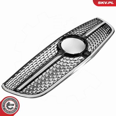 GRILA RADIATOR ESEN SKV 66SKV611 3