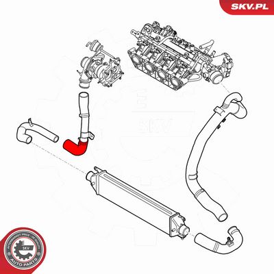 FURTUN EAR SUPRAALIMENTARE ESEN SKV 54SKV058 3