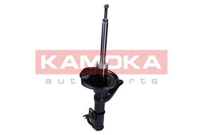 Shock Absorber 2000672