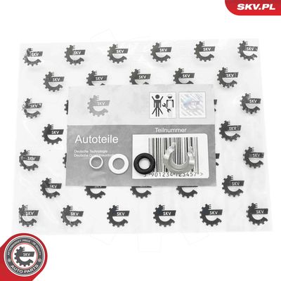 SET INELE ETANSARE INJECTOR