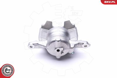 Brake Caliper 46SKV961