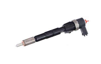 INJECTOR REMANTE 002003000028R 7