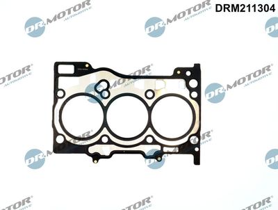 GARNITURA CHIULASA Dr.Motor Automotive DRM211304