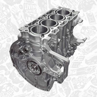 MOTOR EXCLUZAND ACCESORIILE