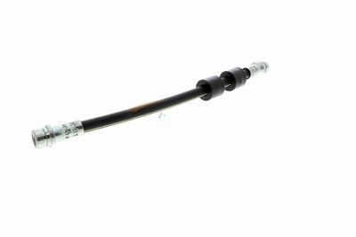 FURTUN FRANA VAICO V251328 4