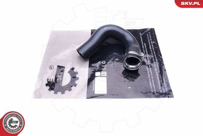 FURTUN EAR SUPRAALIMENTARE