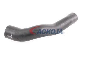 FURTUN EAR SUPRAALIMENTARE ACKOJA A379600 31