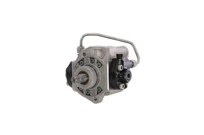 POMPA DE INALTA PRESIUNE REMANTE 002002001496R 65