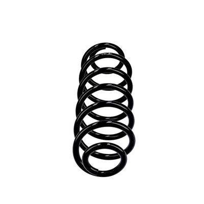 ARC SPIRAL EIBACH R10782 13