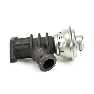SUPAPA EGR DELPHI EG1065112B1 1