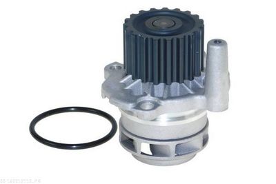 POMPă DE APă RăCIRE MOTOR