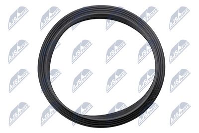 GARNITURA POMPA COMBUSTIBIL NTY BPPWW005 2
