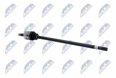 PLANETARA NTY NPWCH021 28