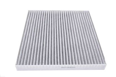 FILTRU AER HABITACLU AUTOMEGA 250203410 2