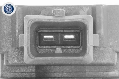 CONVERTOR PRESIUNE VEMO V46630003 1