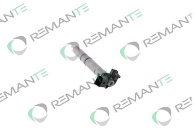 INJECTOR REMANTE 002003002294R 1