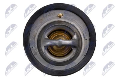 TERMOSTAT LICHID RACIRE NTY CTMTY011 3