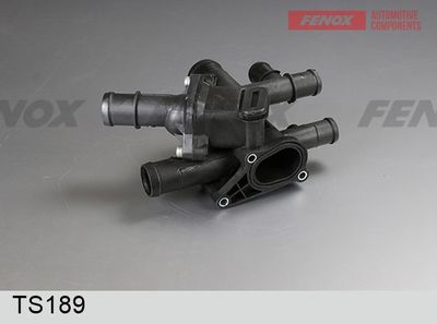термостат, охладителна течност FENOX TS189